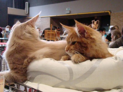 20121021_182 (Expo)